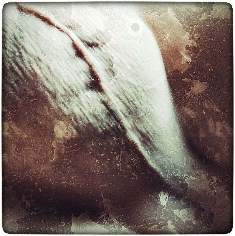 Conscience, énergie, magnétisme, aléatoire